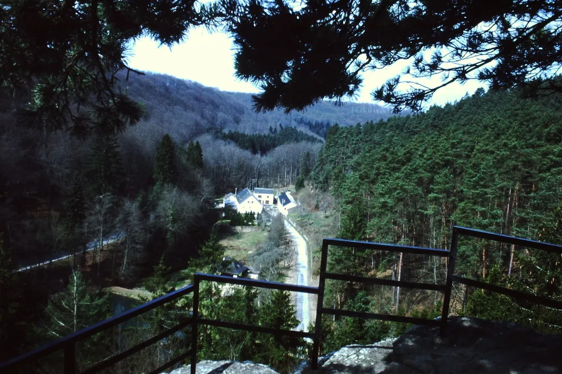 la-pinede-consdorf-7qr9e