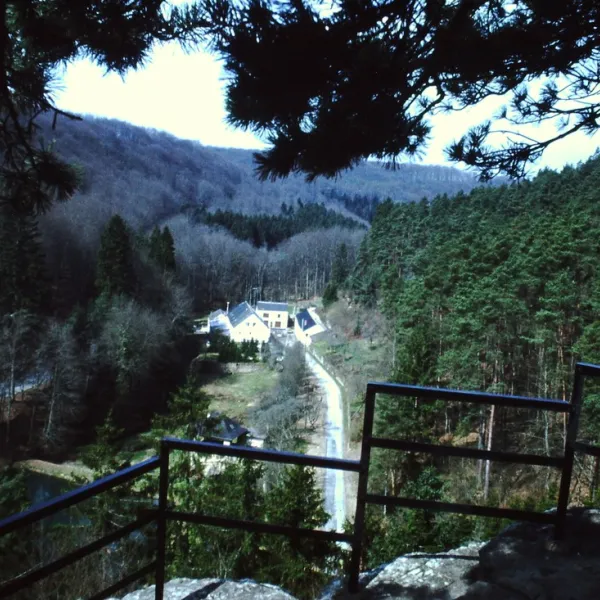 la-pinede-consdorf-7qr9e