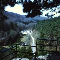 la-pinede-consdorf-7qr9e
