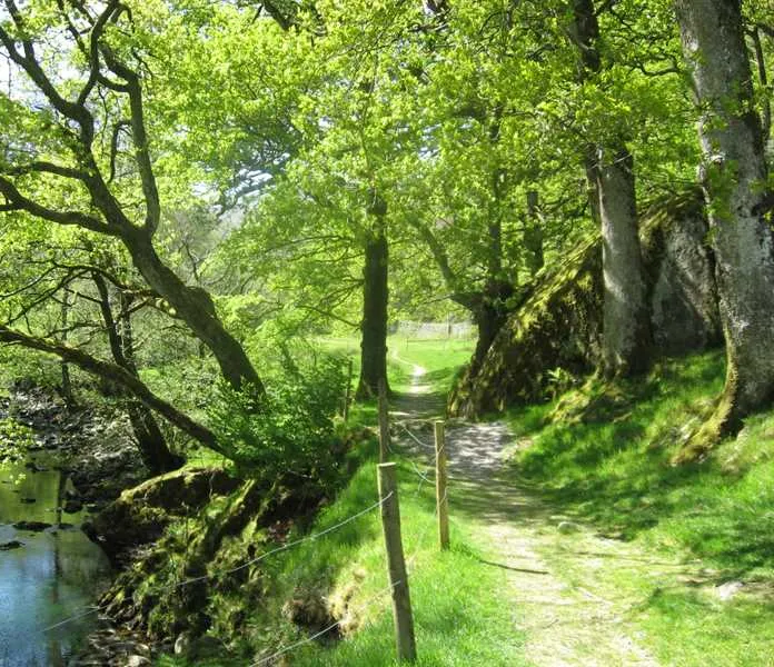 inside-out-camping-at-seatoller-farm-keswick-ovlgv