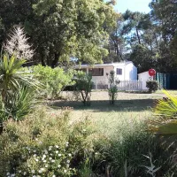 les-sables-vigniers-plage-st-georges-doleron-ile-doleron-kk5zh