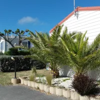 les-sables-vigniers-plage-st-georges-doleron-ile-doleron-nyh8n