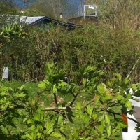 campingplatz-abc-am-grossensee-b-hamburg-grossensee-yllba