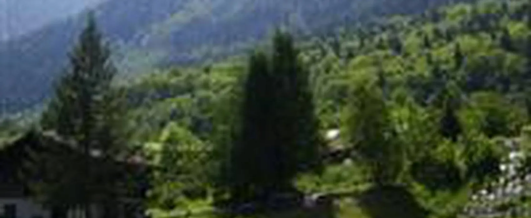 Camping Bellevue
