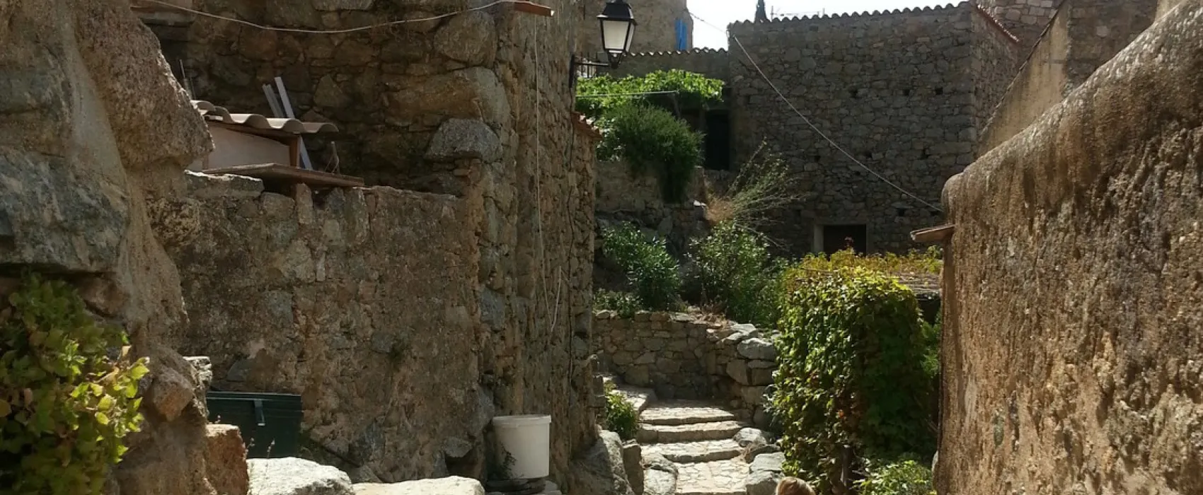 Le Panoramic