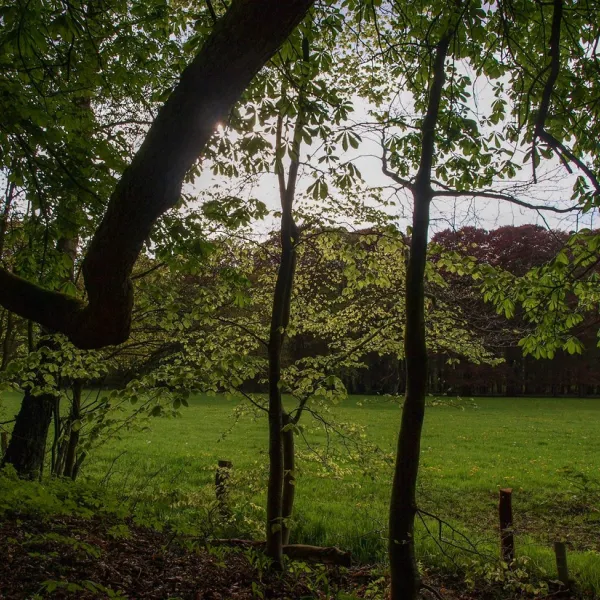 de-vuurkuil-hulshorst-9k1v8