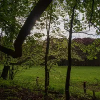 de-vuurkuil-hulshorst-9k1v8