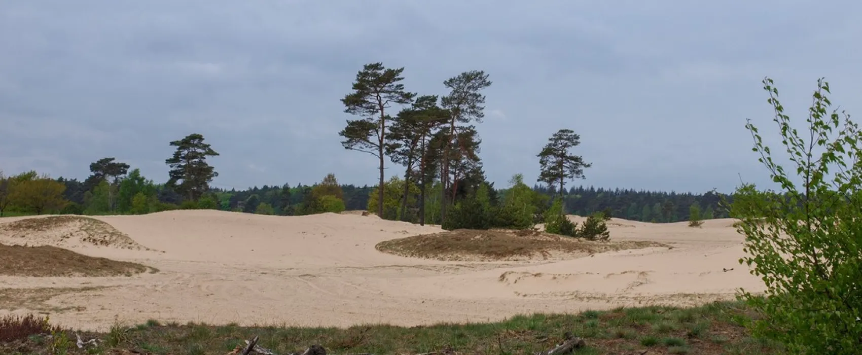 De Vuurkuil