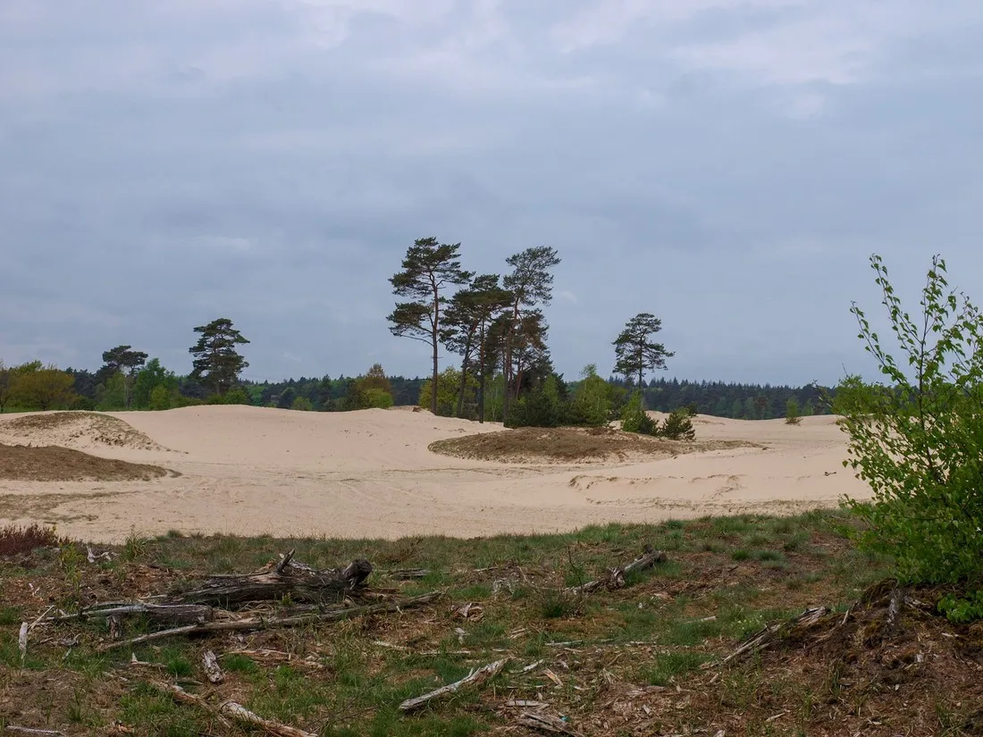 de-vuurkuil-hulshorst-okofe