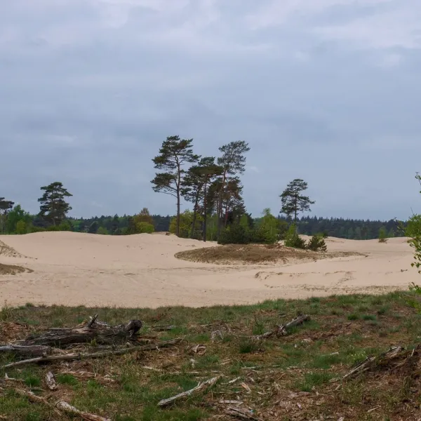 de-vuurkuil-hulshorst-okofe