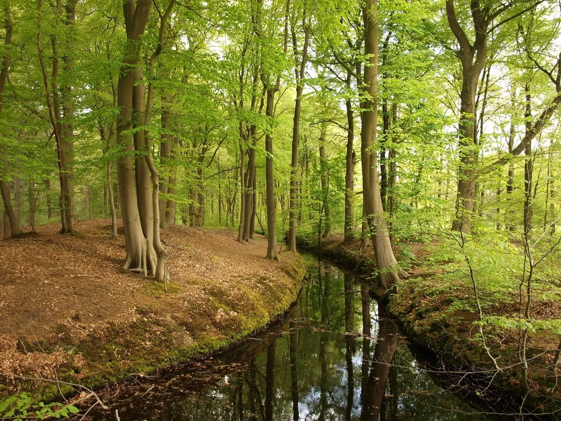 de-vuurkuil-hulshorst-zmed1