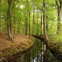 de-vuurkuil-hulshorst-zmed1