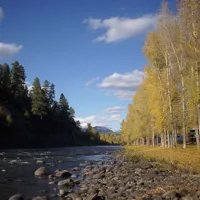 pagosa-riverside-campground-pagosa-springs-tfrfl