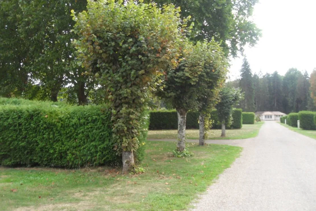 camping-de-la-maladiere-a-port-sur-saone-port-sur-saone-2sxja