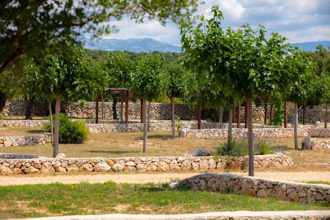 terra-park-phalaris-novalja-7gcwi