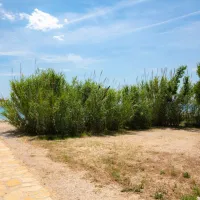 terra-park-phalaris-novalja-b1tlt