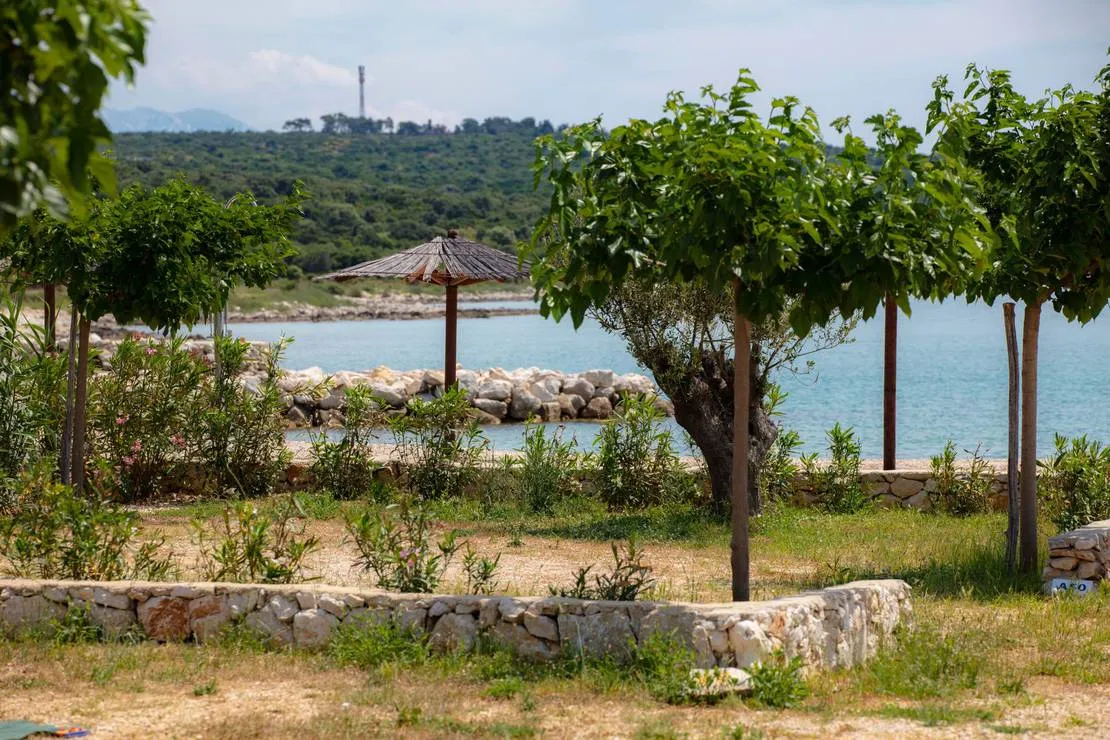 terra-park-phalaris-novalja-hp1dx