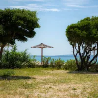 terra-park-phalaris-novalja-lea6y