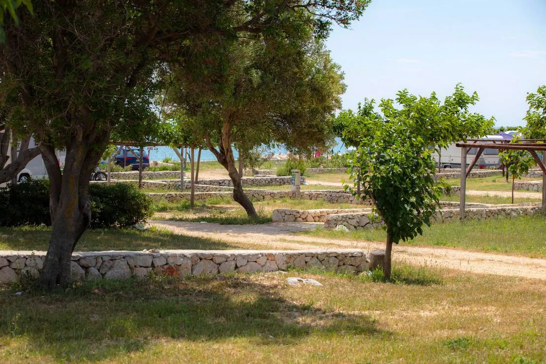 terra-park-phalaris-novalja-nqx6r