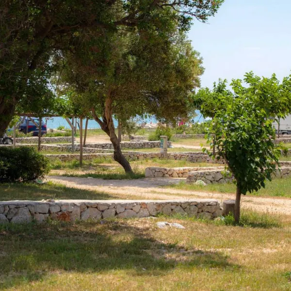 terra-park-phalaris-novalja-nqx6r