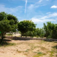 terra-park-phalaris-novalja-pilyj