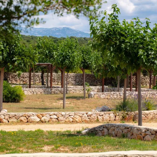 terra-park-phalaris-novalja-uib23