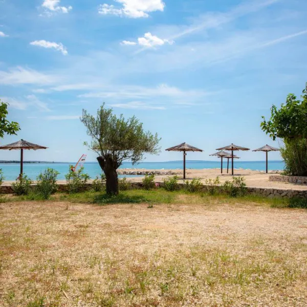 terra-park-phalaris-novalja-we5sr