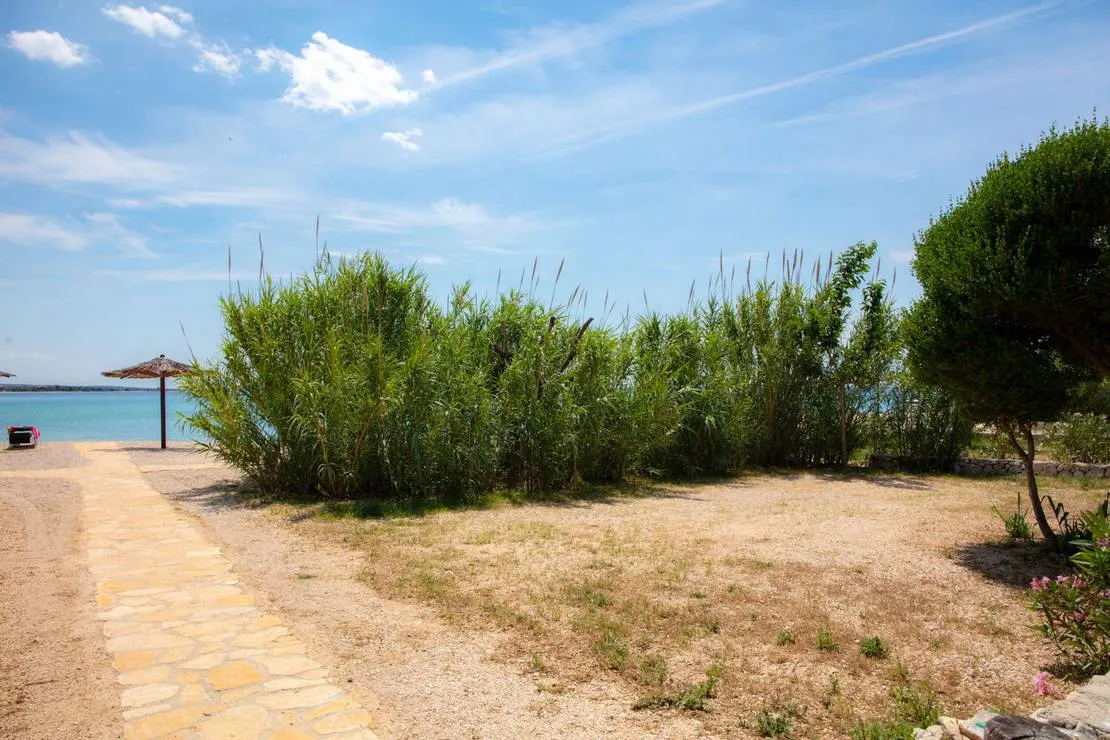 terra-park-phalaris-novalja-zrepl