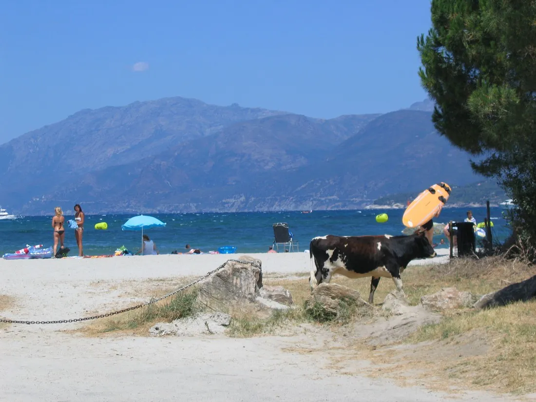 acqua-dolce-st-florent-ntzzi