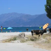 Acqua Dolce