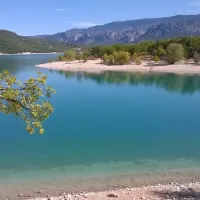 les-pins-les-salles-sur-verdon-erbfh
