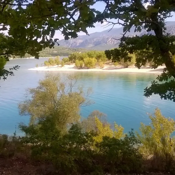 Les Pins