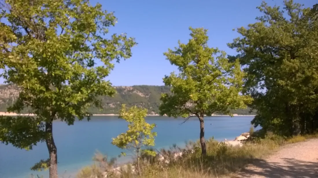 les-pins-les-salles-sur-verdon-sxl5o