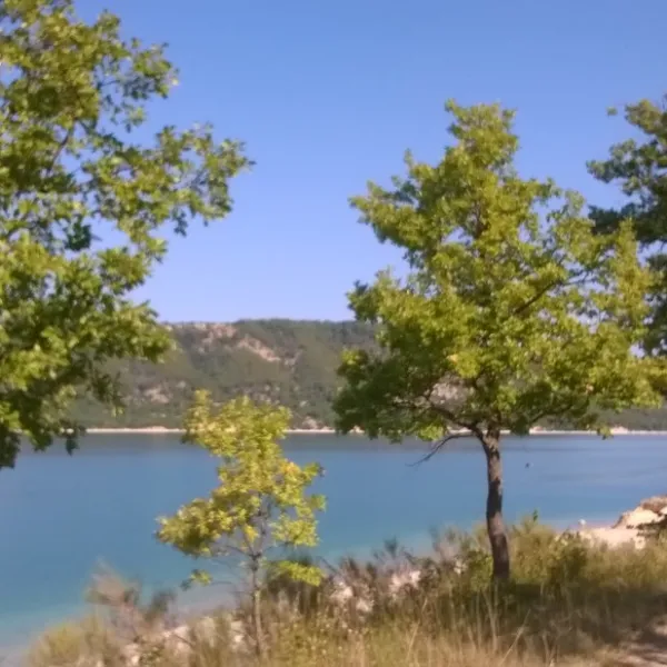 Les Pins