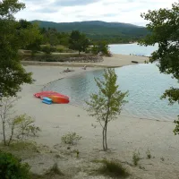 les-pins-les-salles-sur-verdon-x60p4