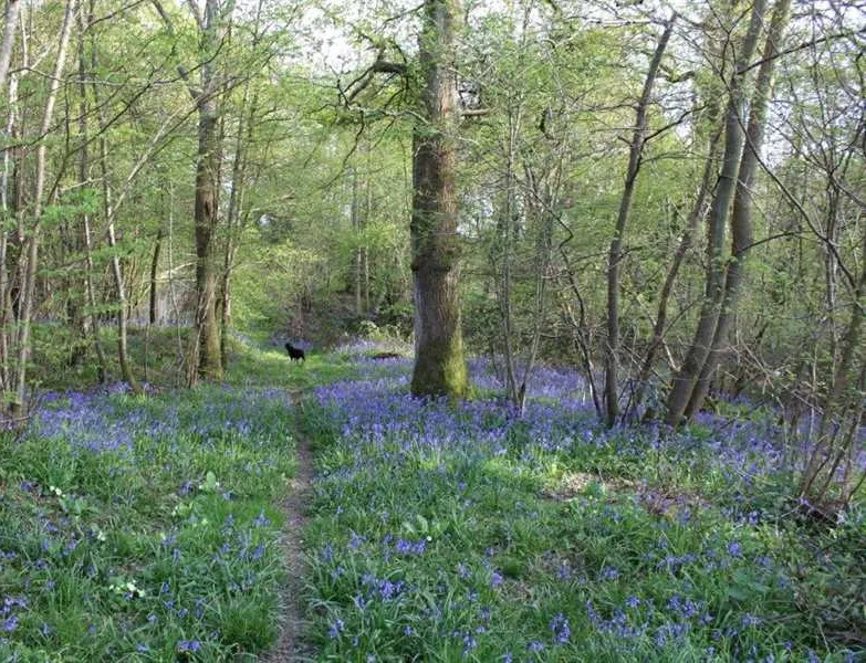campfire-weekends-crowborough-ruqj0