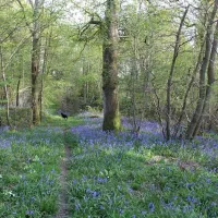 campfire-weekends-crowborough-ruqj0
