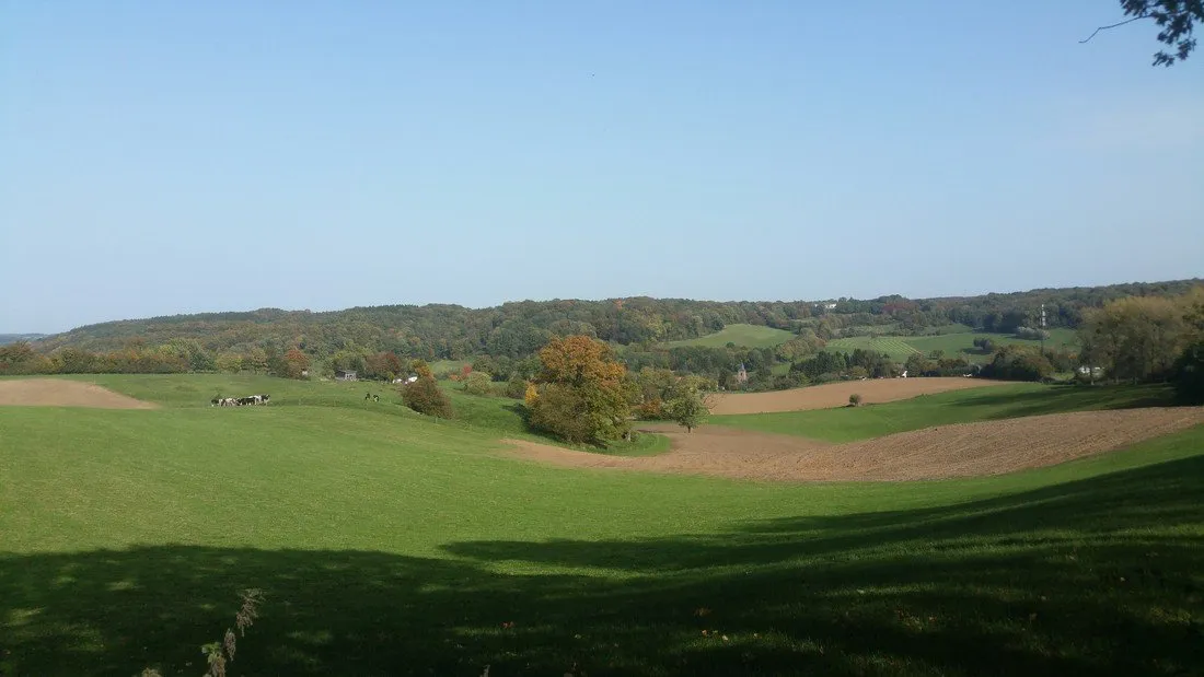 landschapscamping-alleleijn-epen-sibfx