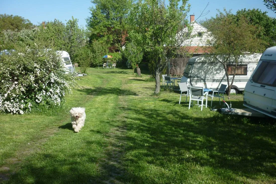 margareta-bia-guest-house-camping-near-budapest-biatorbagy-near-budapest-motorway-m1-m7-m0-7nchy
