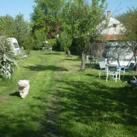margareta-bia-guest-house-camping-near-budapest-biatorbagy-near-budapest-motorway-m1-m7-m0-7nchy