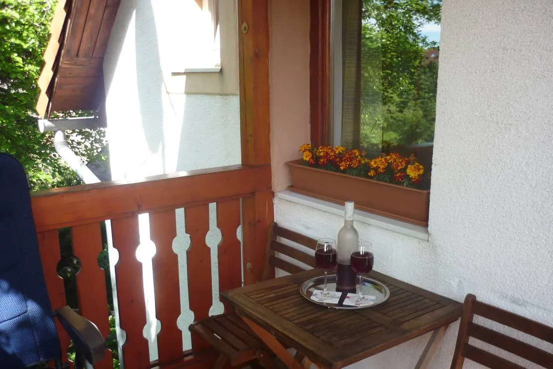 margareta-bia-guest-house-camping-near-budapest-biatorbagy-near-budapest-motorway-m1-m7-m0-csgr1
