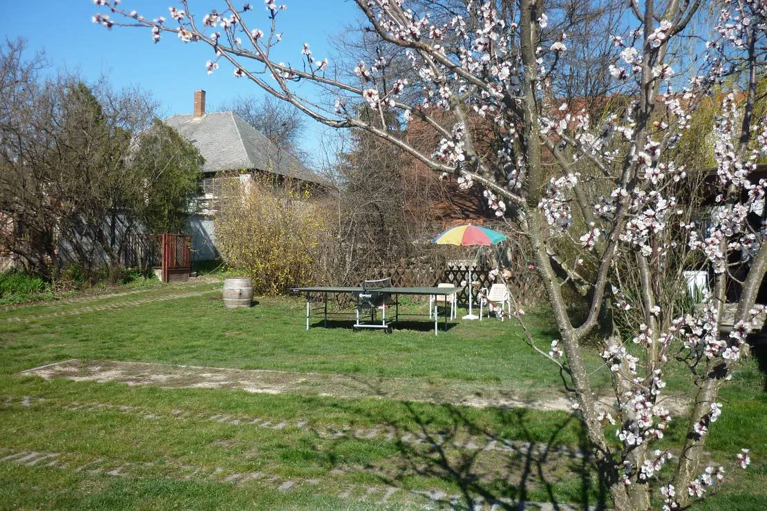 margareta-bia-guest-house-camping-near-budapest-biatorbagy-near-budapest-motorway-m1-m7-m0-rcvkl