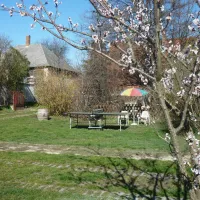 margareta-bia-guest-house-camping-near-budapest-biatorbagy-near-budapest-motorway-m1-m7-m0-rcvkl