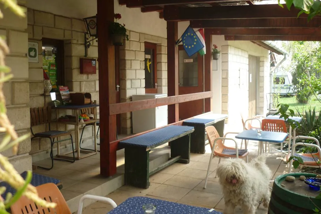 margareta-bia-guest-house-camping-near-budapest-biatorbagy-near-budapest-motorway-m1-m7-m0-vei1v