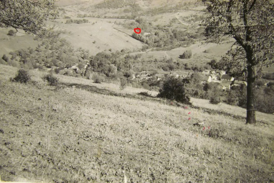 la-salasul-fermecat-iabalcea-zladm