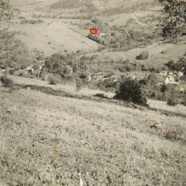 la-salasul-fermecat-iabalcea-zladm