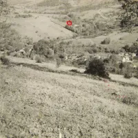 la-salasul-fermecat-iabalcea-zladm