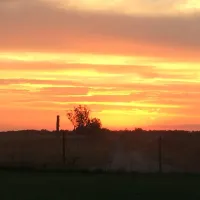 landgoed-voigtsmuhle-friedland-ckbkx