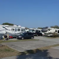 Wilderness Oaks RV Resort