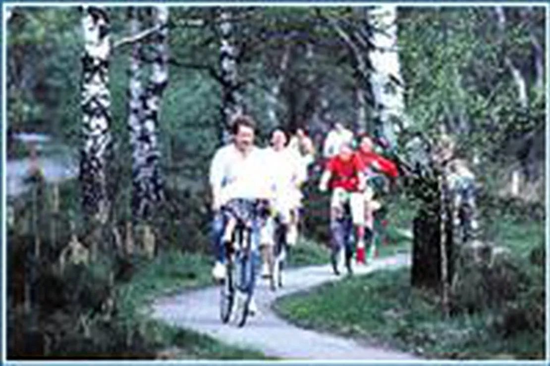 vakantiepark-dennenhoek-hierden-f1x5e